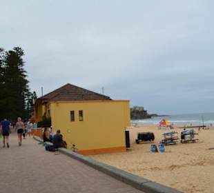 Manly Beach