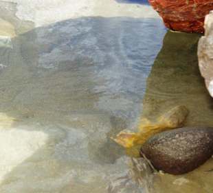 Ende September 2010 Inspirationen