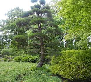 Parkanlage Planten un Blomen