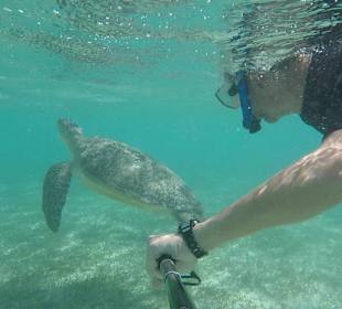 Neulich beim Schnorcheln