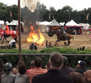 Jahrhundertmarkt und Ritterturney
