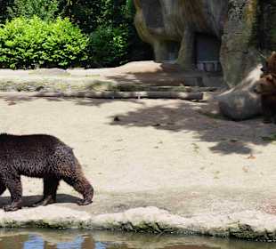Tierpark Hagenbeck