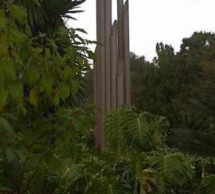 Ein Garten mit seinen Pflanzen