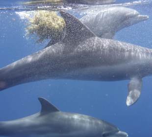 Selbst aufgenommen !!