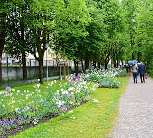 Sisi-Park