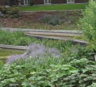 Millerntorspeier - Große Wallanlagen