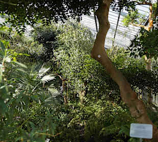 Anlage Planten un Blomen