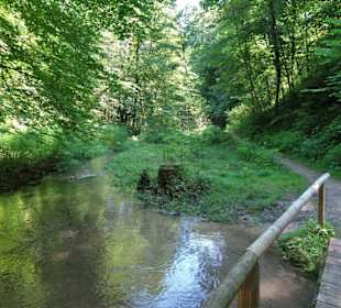 Wanderung durch den Ponlachgraben