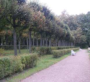 Parkanlage Pawlowsk