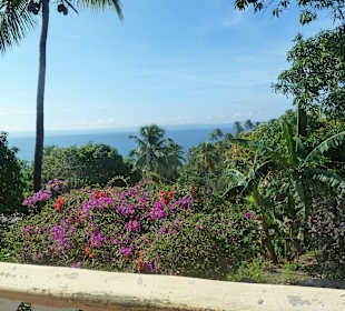 Ausblick von Manfreds Haus
