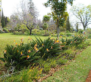 Palheiro Gardens