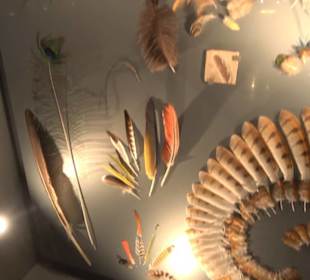 Jura-Museum