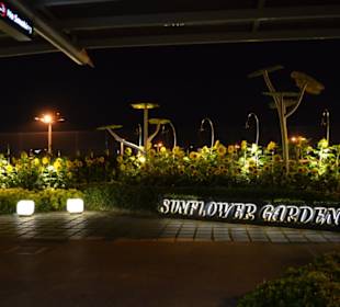Flughafen Singapur Changi (SIN)