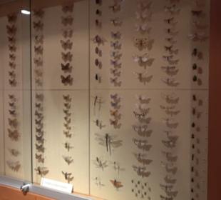 Heimatmuseum Oberstdorf