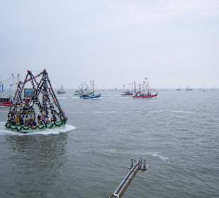 Regattatage 2009