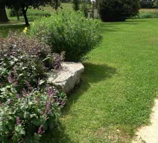 Blühendes Neresheim 2021