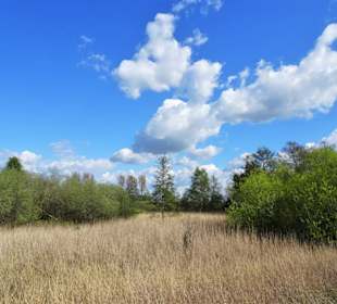 Rundgang um den Bederkesaer See