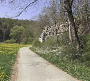 Waldlehrpfad an der Lauter