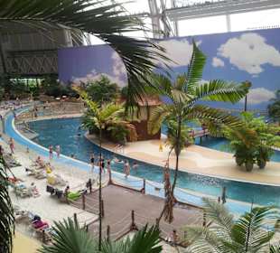 View from rainforest walk