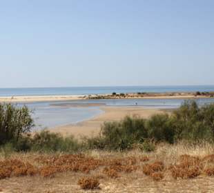 Blick in das Naturschutzgebiet