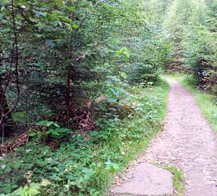 Wanderweg Eisenhüttenweg in Trippstadt
