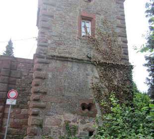Die Kropsburg