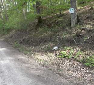 Walderlebnisweg Rottenburg