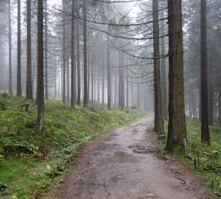 Liebesbankweg