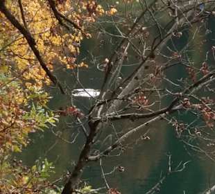 Montiggler See im Herbst