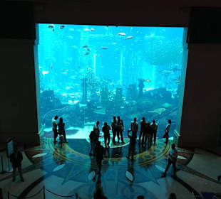 Aquarium
