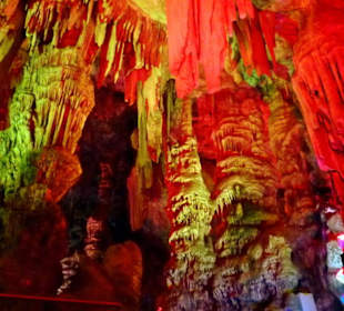 Wunderschön beleuchtet