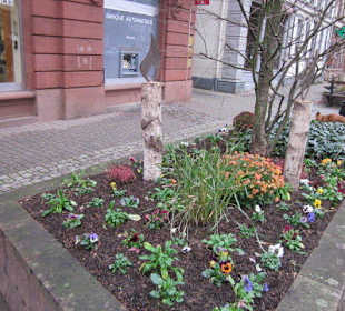 Wissembourg im Winter