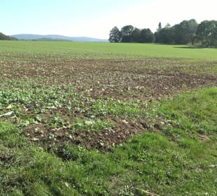 Kelten-Erlebnis-Pfad Erkenbrechtsweiler