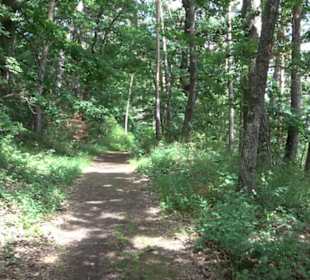 Schutzgebiet Spitzberg, Pfaffenberg