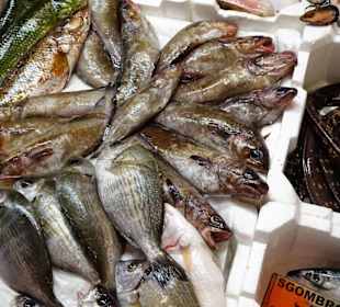 Rundgang zwischen den Auslagen des Mercato Civico