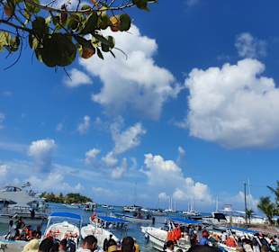 Isla Saona