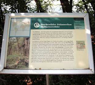 Hinweis auf die Feuchtwälder