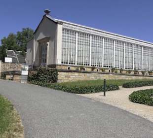 Palmenhaus