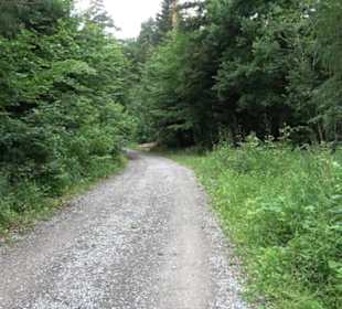Wanderweg - Alter Steinbruch Pfaffenberg Runde