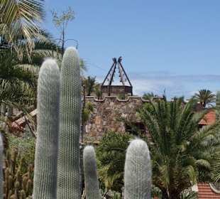 Kakteenpark