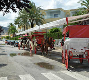 Kutschenfahrt 30 Min. 25,-Euro