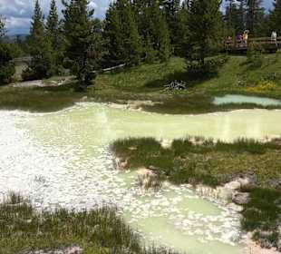 West Thumb Geyser Basin, Yellowstone Lake,