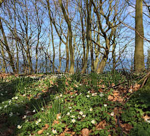 Wandern Binz auf Rügen
