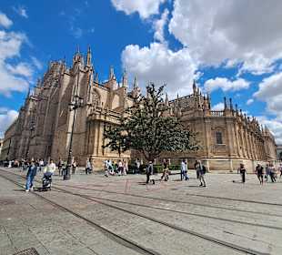 Plaza del Triunfo in Sevilla