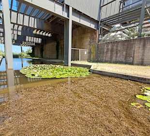 Naturschutzgebiet Grube Reden in Schiffweiler
