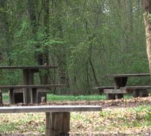 Grill- und Waldspielplatz am Waldlehrpfad