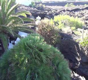 Fundacion Cesar Manrique