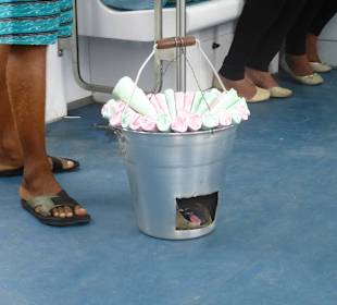 Offenes Feuer in Deutschland undenkbar