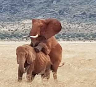 Geführte Touren Aqua Paradise Safaris