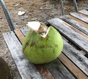 Superfrisch von der Palme